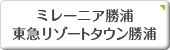 ミレーニア勝浦　東急リゾートタウン勝浦・千葉・房総・不動産・丸泰商事